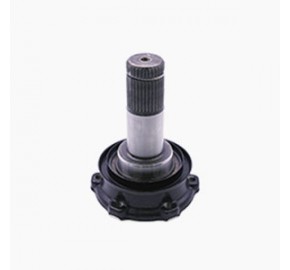 Output Shaft